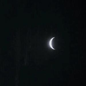 猎艳末日之乱婬后宫h
